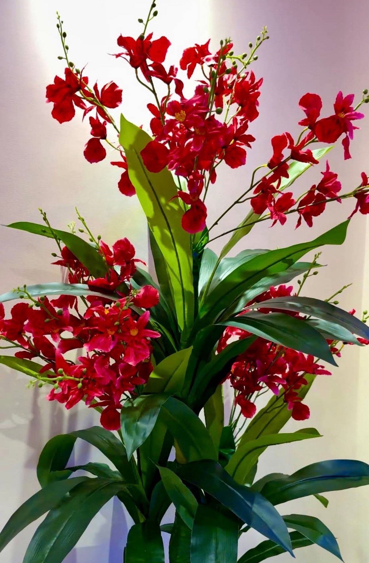 Original Floral Decor photo of Anu Wellness Studio Ameerpet, Hyderabad